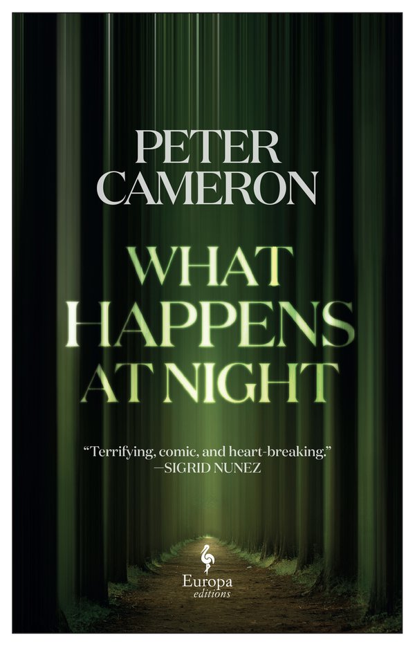 What Happens at Night - Peter Cameron