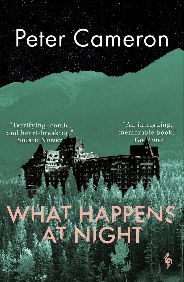 What Happens at Night - Peter Cameron